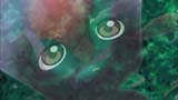 Ghost Hound Focus 08