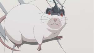 Ghost Hound Focus 11