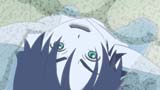 Ghost Hound Focus 16