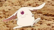 mokona"